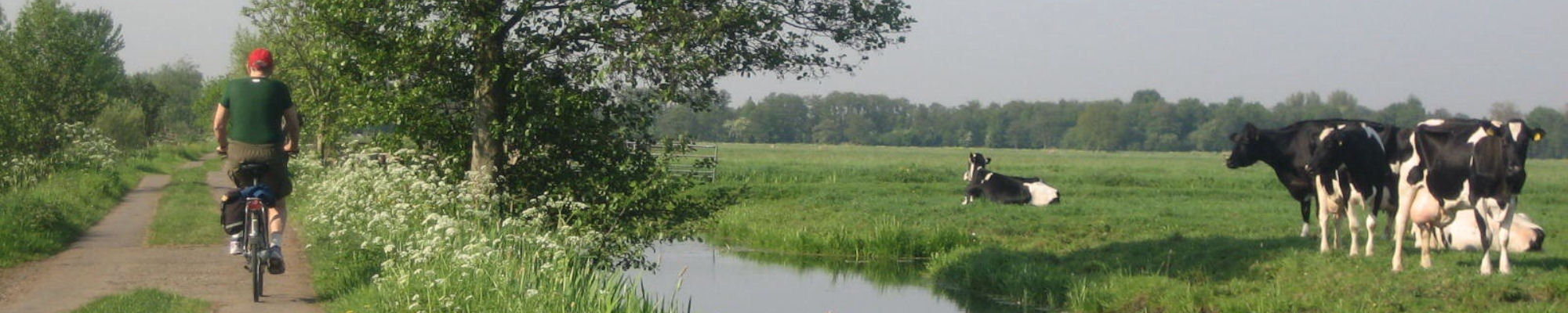 images/slides/dutch-wildlife-meadows.jpg