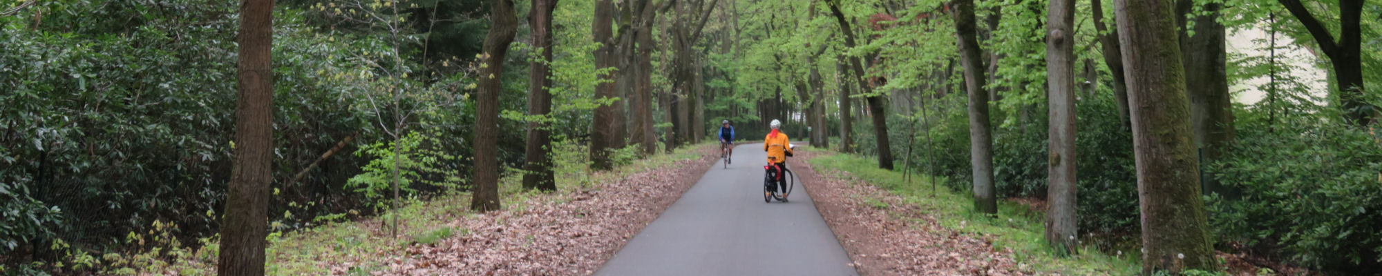 amsterdam cycling tour